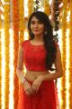 Telugu Actress Monica Sharma Photos in Red Dress