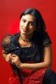 Tamil Actress Monika Hot Photoshoot Stills