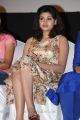 Actress Oviya at Moodar Koodam Movie Audio Launch Stills