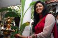 Actress Haripriya @ Moondram Paarvai Movie Launch Photos