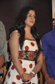 Mouna Guru Press Meet Stills