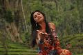 Actress Daisy Shah in Mounamana Neram Tamil Movie Stills