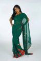 Telugu Actress Monika in Green Saree Photo Shoot Stills