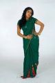 Telugu Actress Mounika in Green Saree Photo Shoot Stills