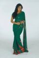 Telugu Actress Monika in Green Saree Photo Shoot Stills