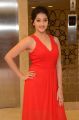 Actress Mouryani Hot Pics @ Intlo Deyyam Nakem Bhayam Trailer Launch