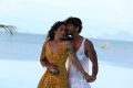 Regina Cassandra, Gautham Karthik in Mr Chandramouli Movie Hot Stills