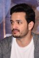 Actor Akhil Akkineni @ Mr Majnu Movie Success Meet Stills