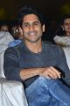 Naga Chaitanya @ Mr Majnu Pre Release Event Stills