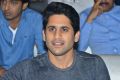 Naga Chaitanya @ Mr Majnu Pre Release Event Stills