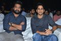 Jr NTR, Naga Chaitanya @ Mr Majnu Pre Release Event Stills