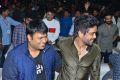 Nagarjuna @ Mr Majnu Pre Release Event Stills