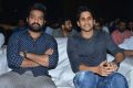 Jr NTR, Naga Chaitanya @ Mr Majnu Pre Release Event Stills