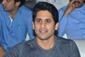 Naga Chaitanya @ Mr Majnu Pre Release Event Stills