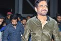 Nagarjuna @ Mr Majnu Pre Release Event Stills