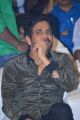 Mr Majnu Pre Release Event Stills