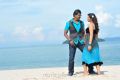 Sunil, Isha Chawla in Mr.Pellikoduku Movie Photos