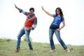 Sunil, Isha Chawla in Mr.Pellikoduku Telugu Movie Photos