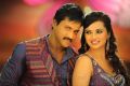 Sunil, Isha Chawla in Mr.Pellikoduku Telugu Movie Stills