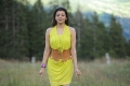 Mr Perfect Kajal Photos, Kajal Agarwal Latest Cute Pictures