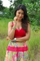 Mr Rascal Payal Ghosh Latest Hot looking Pictures