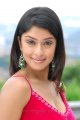 Mr Rascal Payal Ghosh Latest Hot looking Pictures