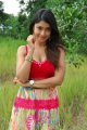 Mr Rascal Payal Ghosh Latest Hot looking Pictures