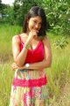 Mr Rascal Payal Ghosh Latest Hot looking Pictures