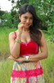 Mr Rascal Payal Ghosh Latest Hot looking Pictures