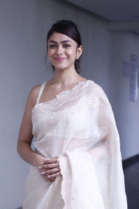 Sita Ramam Movie Actress Mrunal Thakur Saree Pics