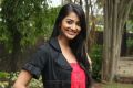 Actress Pooja Hegde at Mugamoodi New Press Meet Stills