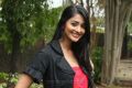 Actress Pooja Hegde at Mugamoodi Press Meet Stills