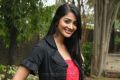 Actress Pooja Hegde at Mugamoodi Press Meet Stills