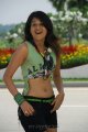 Shraddha Das Latest Hot Images