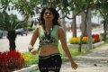 Shraddha Das Latest Hot Images