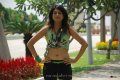 Shraddha Das Latest Hot Images