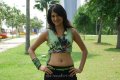 Shraddha Das Latest Hot Images