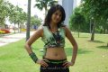 Shraddha Das Latest Hot Images