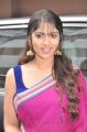Tamil Actress Bhanu in Pink Saree Photos