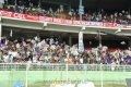 Mumbai Heroes Vs Bengal Tigers Match Pictures