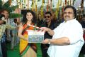 Muni 3 Telugu Movie Launch Stills