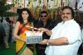 Dasari Narayana Rao at Muni 3 Movie Opening Stills