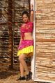 Sindhu Tolani Hot Stills in Murattu Kaalai Movie