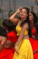 Sindhu Tolani Hot Stills in Murattu Kaalai Movie