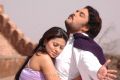 Sundar C and Sneha in Murattu Kaalai Movie Stills