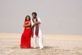 Sneha Hot with Sundar.C in Murattu Kaalai Movie Stills