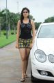 Murattu Singam Movie Actress Deeksha Seth Hot Photos