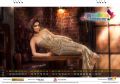 Actress Shriya Saran My South Diva Calendar 2017 Wallpapers for January Month