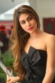 Officer Actress Myra Sareen Hot in Black Dress Stills