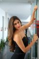 Officer Movie Actress Myra Sareen Hot Stills in Black Dress